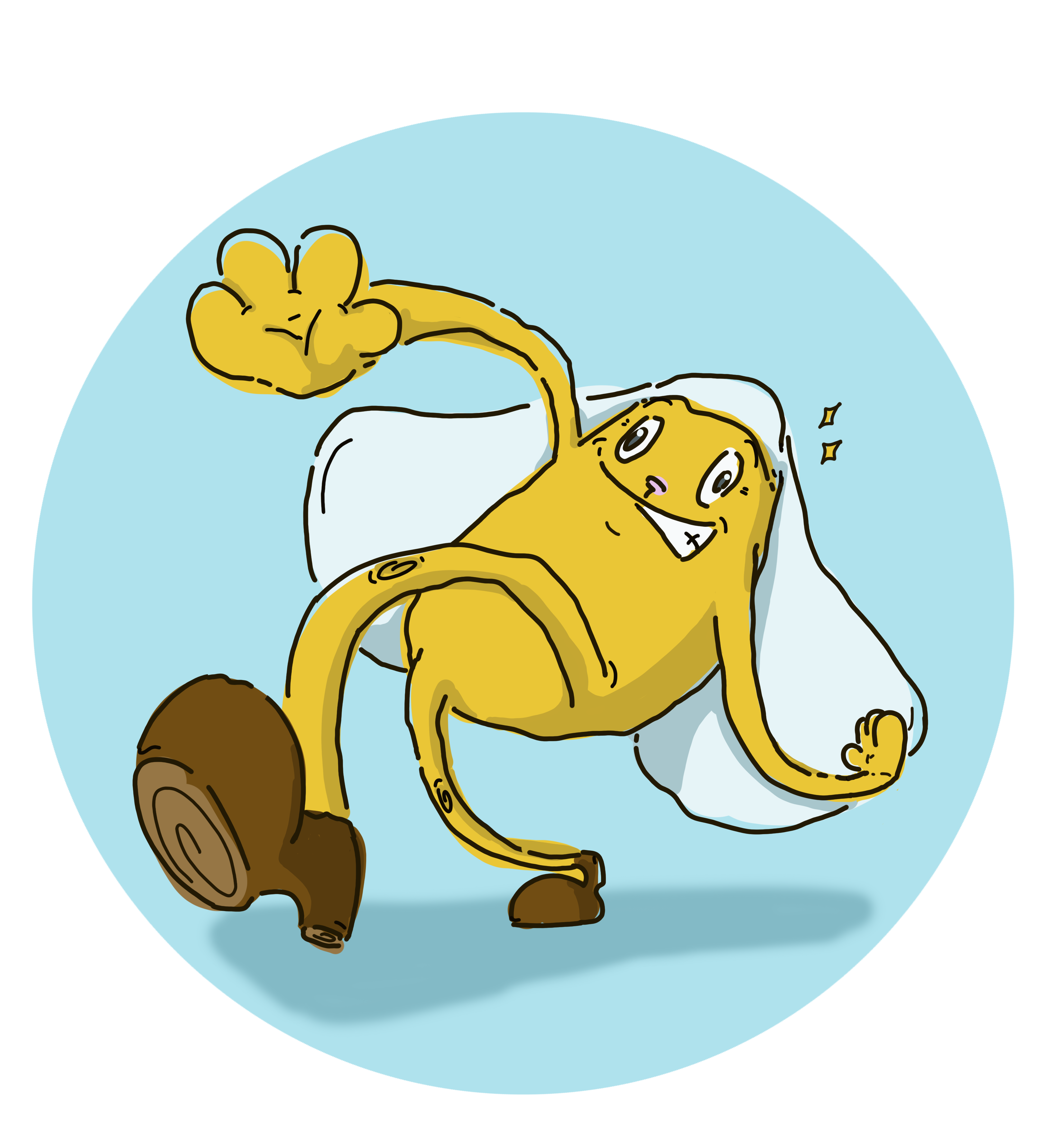 image du site de jaqui